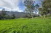 Lot 2, Georges Creek VIC 3700-Image