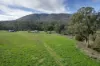 Lot 2, Georges Creek VIC 3700-Image