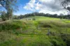 Lot 2, Georges Creek VIC 3700-Image