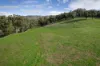Lot 2, Georges Creek VIC 3700-Image