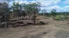 Lot 2 Leabons Road, Waterloo, Qld 4673-Image