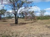 Lot 2 Leabons Road, Waterloo, Qld 4673-Image