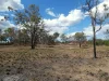 Lot 2 Leabons Road, Waterloo, Qld 4673-Image