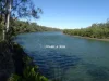 Lot 2 Leabons Road, Waterloo, Qld 4673-Image