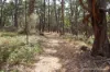 Lot 2 Skirkas Road, Buninyong, Vic 3357-Image
