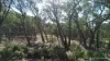 Lot 2 Skirkas Road, Buninyong, Vic 3357-Image