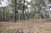 Lot 2 Skirkas Road, Buninyong, Vic 3357-Image