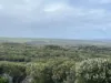 Lot 2 South Road, Nugara, Tas 7256-Image