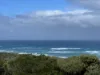 Lot 2 South Road, Nugara, Tas 7256-Image