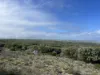 Lot 2 South Road, Nugara, Tas 7256-Image
