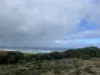 Lot 2 South Road, Nugara, Tas 7256-Image