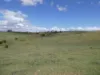 Lot 2 Stevens Road, Dallarnil, Qld 4621-Image