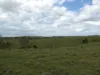 Lot 2 Stevens Road, Dallarnil, Qld 4621-Image