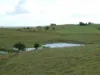 Lot 2 Stevens Road, Dallarnil, Qld 4621-Image
