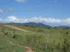 Lot 2 Stevens Road, Dallarnil, Qld 4621-Image