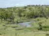 Lot 2 Stevens Road, Dallarnil, Qld 4621-Image