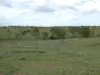 Lot 2 Stevens Road, Dallarnil, Qld 4621-Image