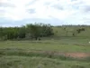 Lot 2 Stevens Road, Dallarnil, Qld 4621-Image