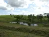 Lot 2 Stevens Road, Dallarnil, Qld 4621-Image