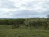 Lot 2 Stevens Road, Dallarnil, Qld 4621-Image