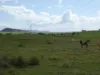 Lot 2 Stevens Road, Dallarnil, Qld 4621-Image