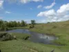 Lot 2 Stevens Road, Dallarnil, Qld 4621-Image