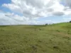 Lot 2 Stevens Road, Dallarnil, Qld 4621-Image