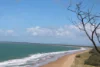 Lot 20 Curtis Road, Curtis Island QLD 4680-Image
