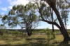 Lot 20 Curtis Road, Curtis Island QLD 4680-Image