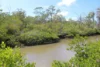 Lot 20 Curtis Road, Curtis Island QLD 4680-Image
