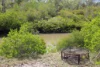 Lot 20 Curtis Road, Curtis Island QLD 4680-Image