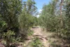 Lot 20 Curtis Road, Curtis Island QLD 4680-Image