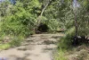 Lot 20 Curtis Road, Curtis Island QLD 4680-Image