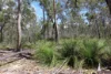 Lot 20 Curtis Road, Curtis Island QLD 4680-Image