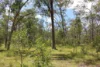 Lot 20 Curtis Road, Curtis Island QLD 4680-Image