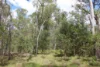 Lot 20 Curtis Road, Curtis Island QLD 4680-Image