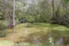 Lot 20 Curtis Road, Curtis Island QLD 4680-Image