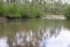 Lot 20 Curtis Road, Curtis Island QLD 4680-Image