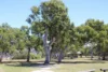 Lot 20 Curtis Road, Curtis Island QLD 4680-Image