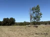 Lot 20 Susan Crescent, Proston, Qld 4613-Image