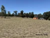 Lot 20 Susan Crescent, Proston, Qld 4613-Image