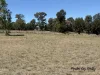 Lot 20 Susan Crescent, Proston, Qld 4613-Image