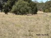 Lot 20 Susan Crescent, Proston, Qld 4613-Image