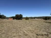 Lot 20 Susan Crescent, Proston, Qld 4613-Image