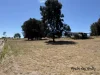 Lot 20 Susan Crescent, Proston, Qld 4613-Image