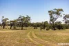 Lot 201 Keyneton Road, Keyneton, SA 5353-Image