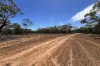Lot 217 Bower Boundary Road, Steinfeld, SA 5356-Image