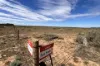 Lot 217 Bower Boundary Road, Steinfeld, SA 5356-Image