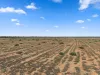 Lot 217 Bower Boundary Road, Steinfeld, SA 5356-Image