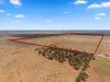 Lot 217 Bower Boundary Road, Steinfeld, SA 5356-Image